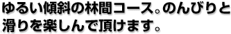 ゆるい傾斜の林間コース。のんびりと滑りを楽しんで頂けます。