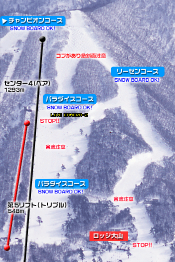 パラダイスコース