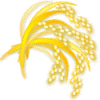 ICON�摜