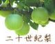 ICON�摜