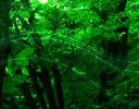 ICON�摜