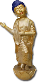 �c�b�R�b�~�̉摜