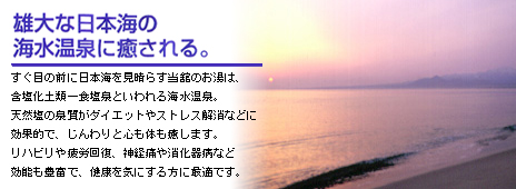 �Y��ȓ��{�C�̊C������ɖ������