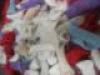 ICON�摜